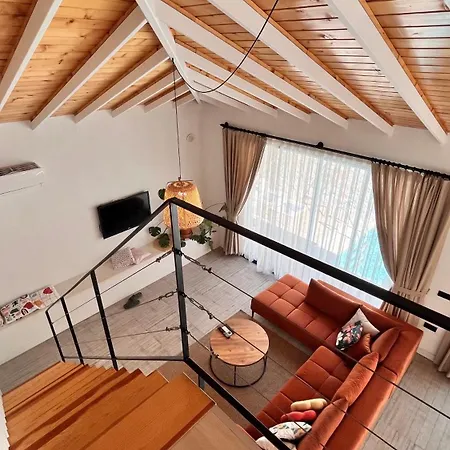 펜션 Root House 페티예